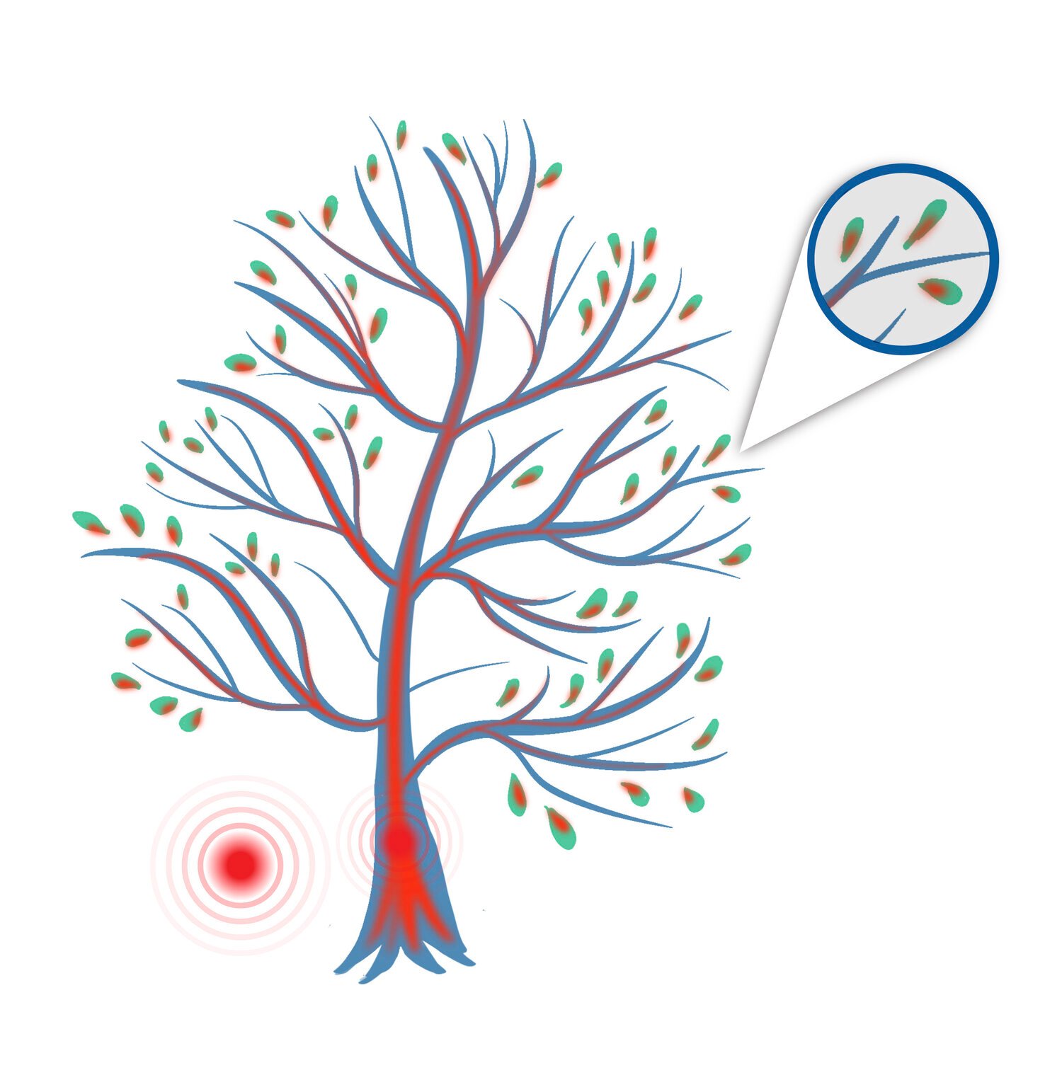 Volume Conduction Neuromodulation